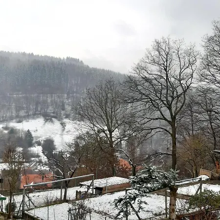 Im Harz Mit Wanderwegen 펜션 비다
