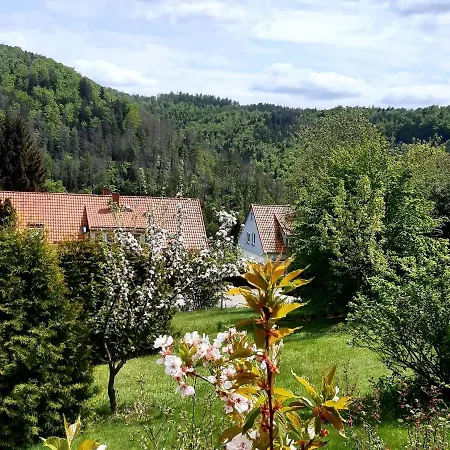 Im Harz Mit Wanderwegen 度假居 *
