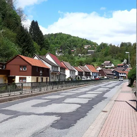 Im Harz Mit Wanderwegen 펜션 비다